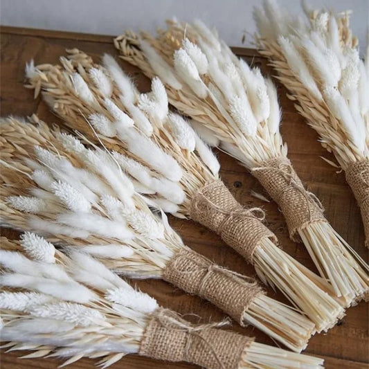 White Pampas Grass Decor 50 Pcs 17” Wedding Centerpiece Flower Arrangements Natural Home Boho Room Decoration Dried Flower Gift